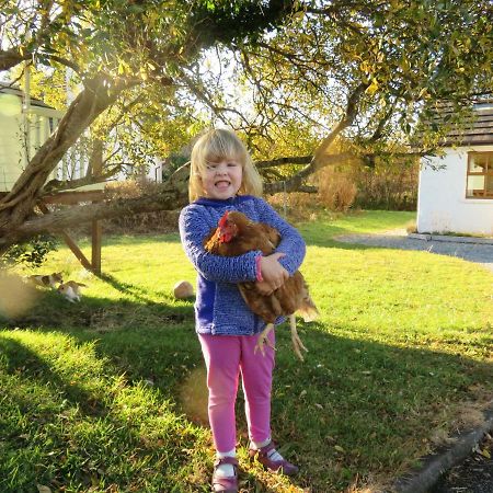 Heatherhill Farm Cottage In Letterfrack Beside Connemara National Park ภายนอก รูปภาพ