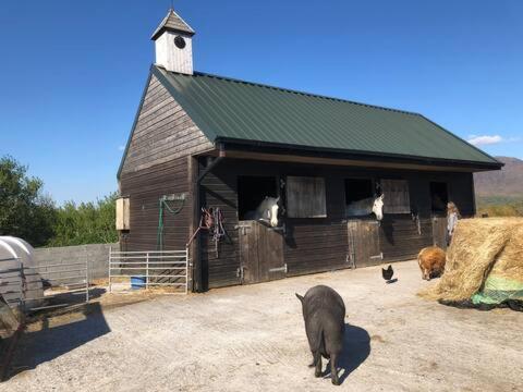 Heatherhill Farm Cottage In Letterfrack Beside Connemara National Park ภายนอก รูปภาพ
