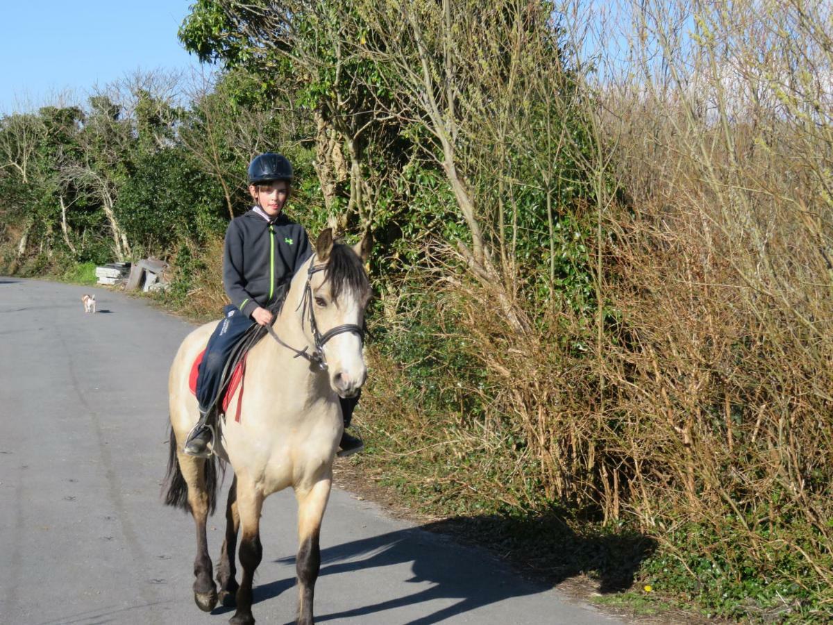 Heatherhill Farm Cottage In Letterfrack Beside Connemara National Park ภายนอก รูปภาพ